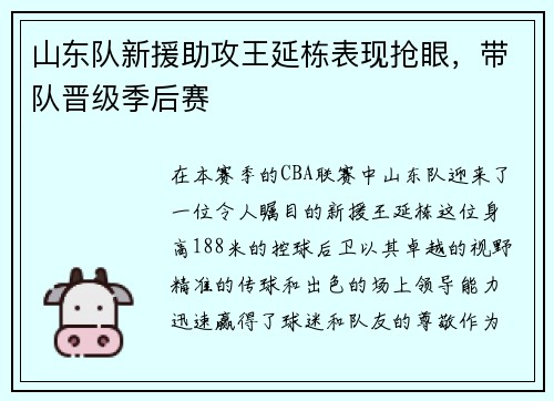 山东队新援助攻王延栋表现抢眼，带队晋级季后赛