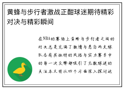 黄蜂与步行者激战正酣球迷期待精彩对决与精彩瞬间