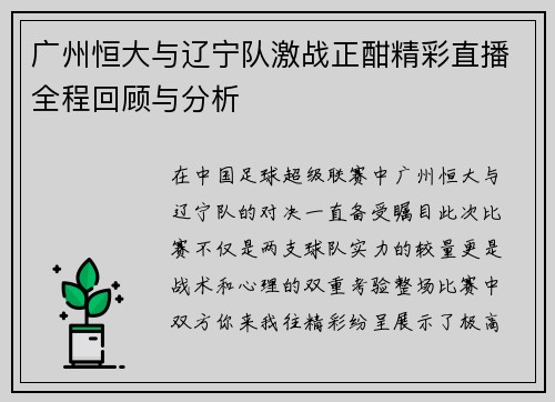 广州恒大与辽宁队激战正酣精彩直播全程回顾与分析