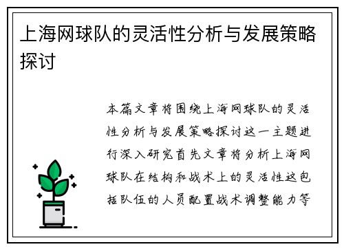 上海网球队的灵活性分析与发展策略探讨