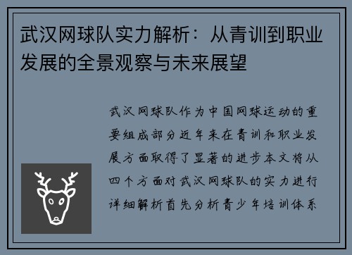 武汉网球队实力解析：从青训到职业发展的全景观察与未来展望