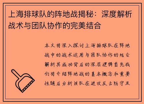 上海排球队的阵地战揭秘：深度解析战术与团队协作的完美结合